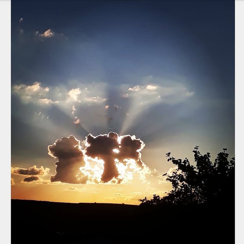 OS TRÊS URSINHOS SE DESPEDINDO DO SOL EM GUAPÉ
