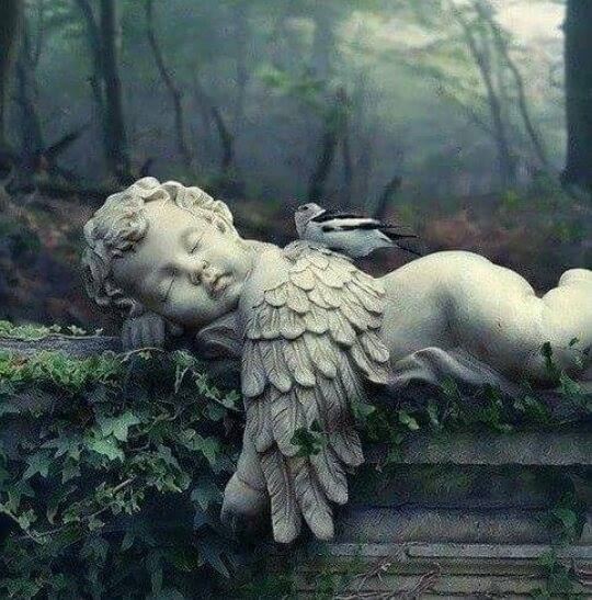 VIROU ANJO