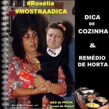 A DICA DE FRANGO DO GUAPÉ É ASSIM