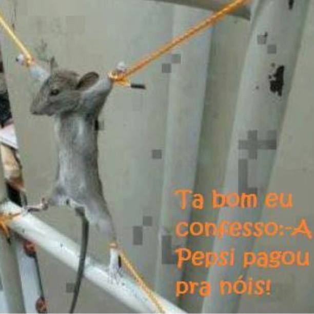 É DESSE JEITO