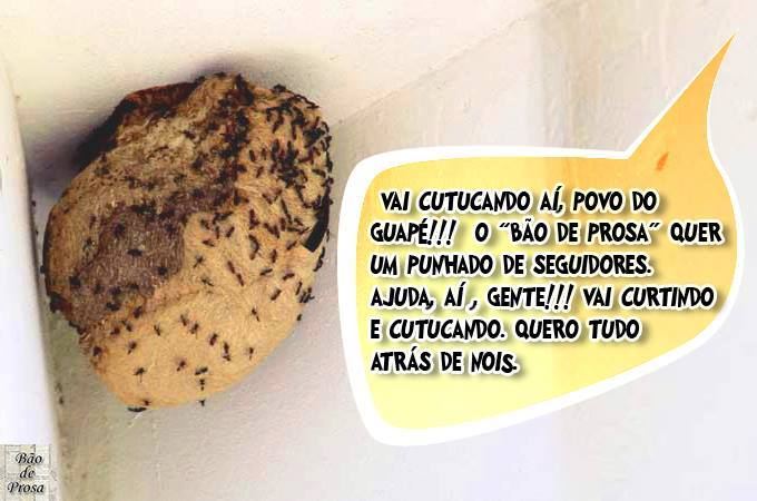 Causo de 2013-10-01