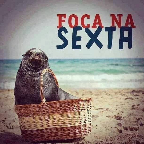Causo de 2013-11-05