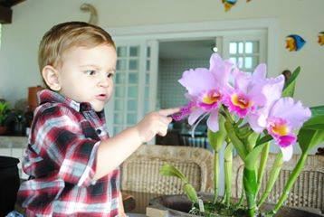 ESSA FIGURINHA TÁ PERDIDA AQUI NO MEU ARQUIVO.ALGUÉM SABE DE QUEM É