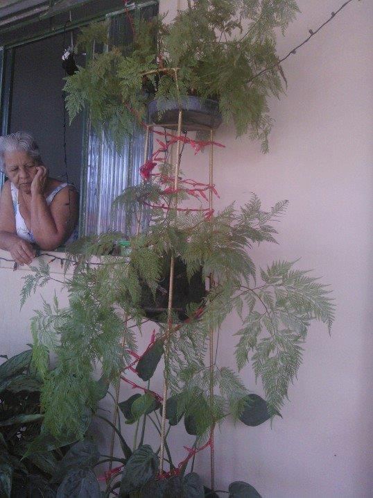 A MÃE DA LELÊ, ''NILZA DO ÉZIO RIBEIRO'',POR QUEM AS PESSOAS PERGUNTAM...