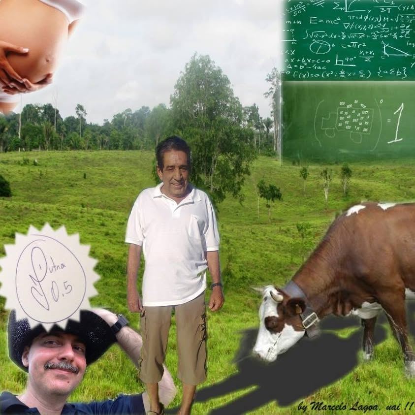 MEU IRREVERENTE PROFESSOR JAIR