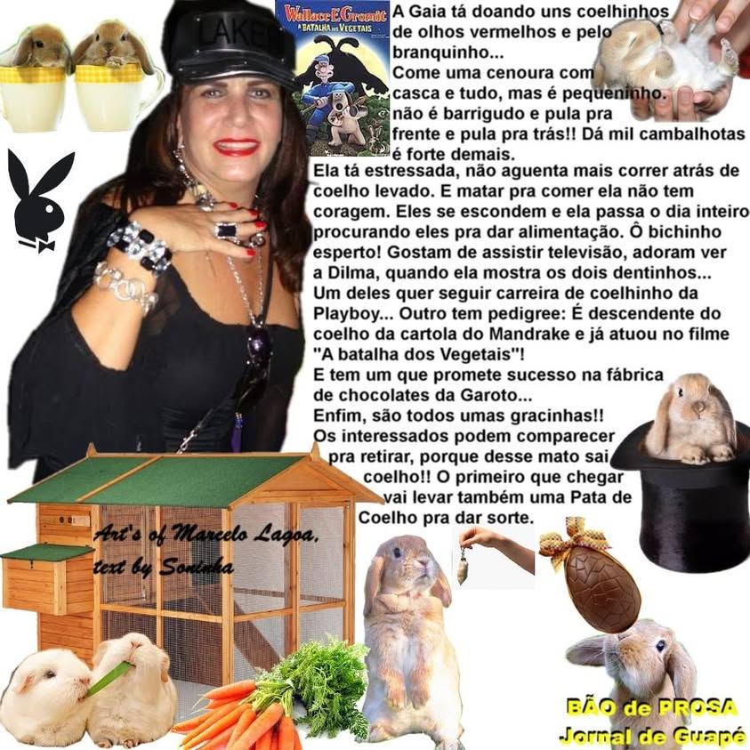 Causo de 2014-02-08
