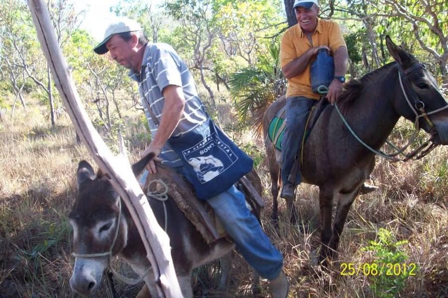 LÁ VAI MORRO ABAIXO O MAURÍCIO DO ZÉ COSTELA TAMÉM, MAS A TEREZINHA TÁ MAIS ESPERTA