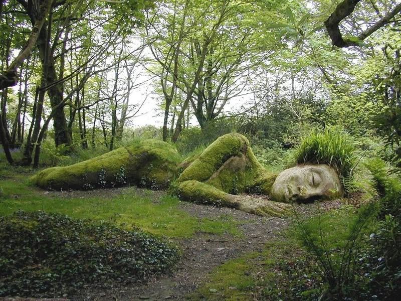 Esta beleza foi criada pelos irmãos Pete Hill e Sue, nos Jardins Perdi...