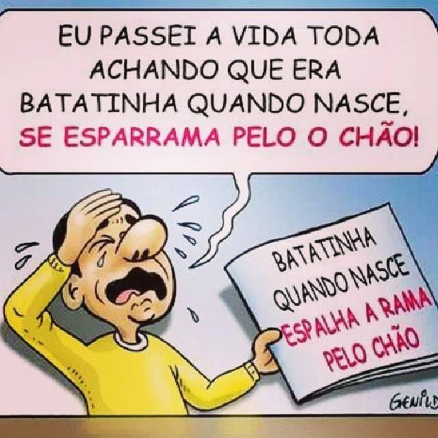 BATATINHA QUANDO NASCE