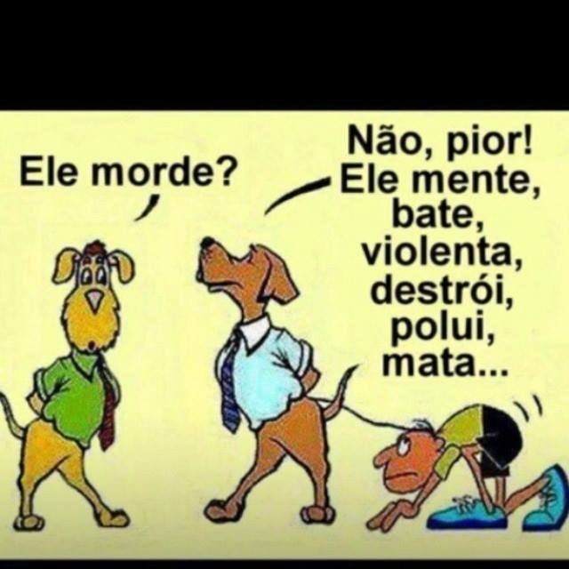 MOMENTO VERDADE