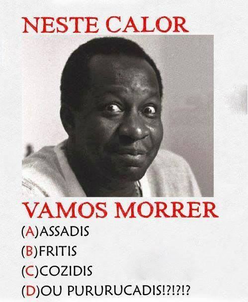 SIM, MUÇUM! TODAS AS ALTERNATIVAS ESTÃO CORRETAS