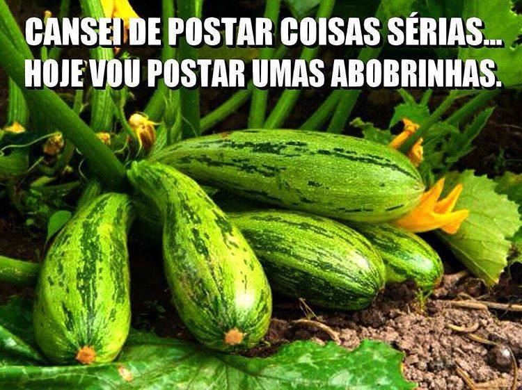 MOMENTO BOBEIRA DO ''BÃO DE PROSA