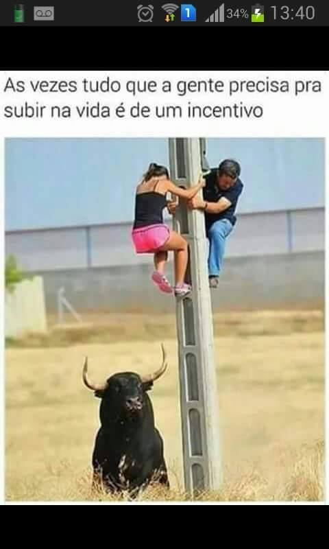 ISSO É MEMO! VERDADE