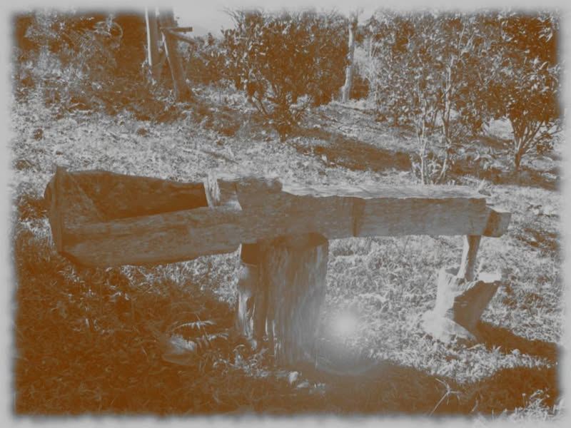 TEXTO DE MARCELO LAGOA
