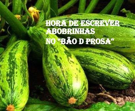MOMENTO BOBEIRA EXTREMA, PERGUNTAS IDIOTAS COPIADAS